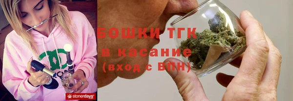 амф Новокубанск