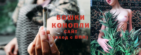 амф Новокубанск