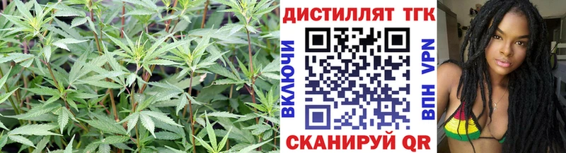 Купить Голицыно ТГК гашишное масло